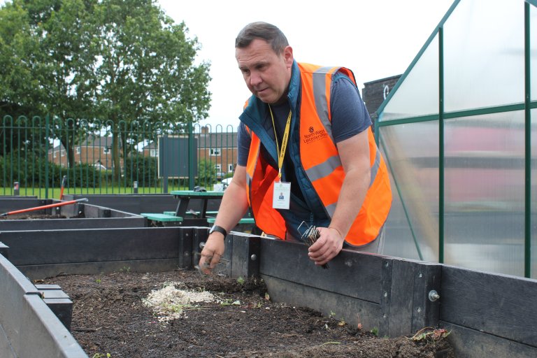 Councillor Michael Wyatt, Portfolio Holder for Communities and Climate Change helping to weed and plant at Coalville Community Garden.