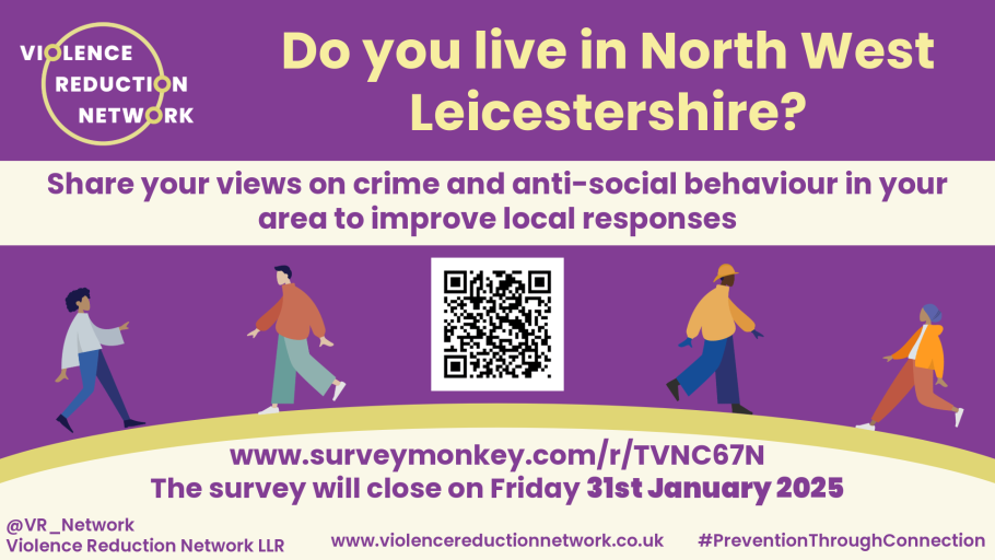 Violence Reduction Network Survey